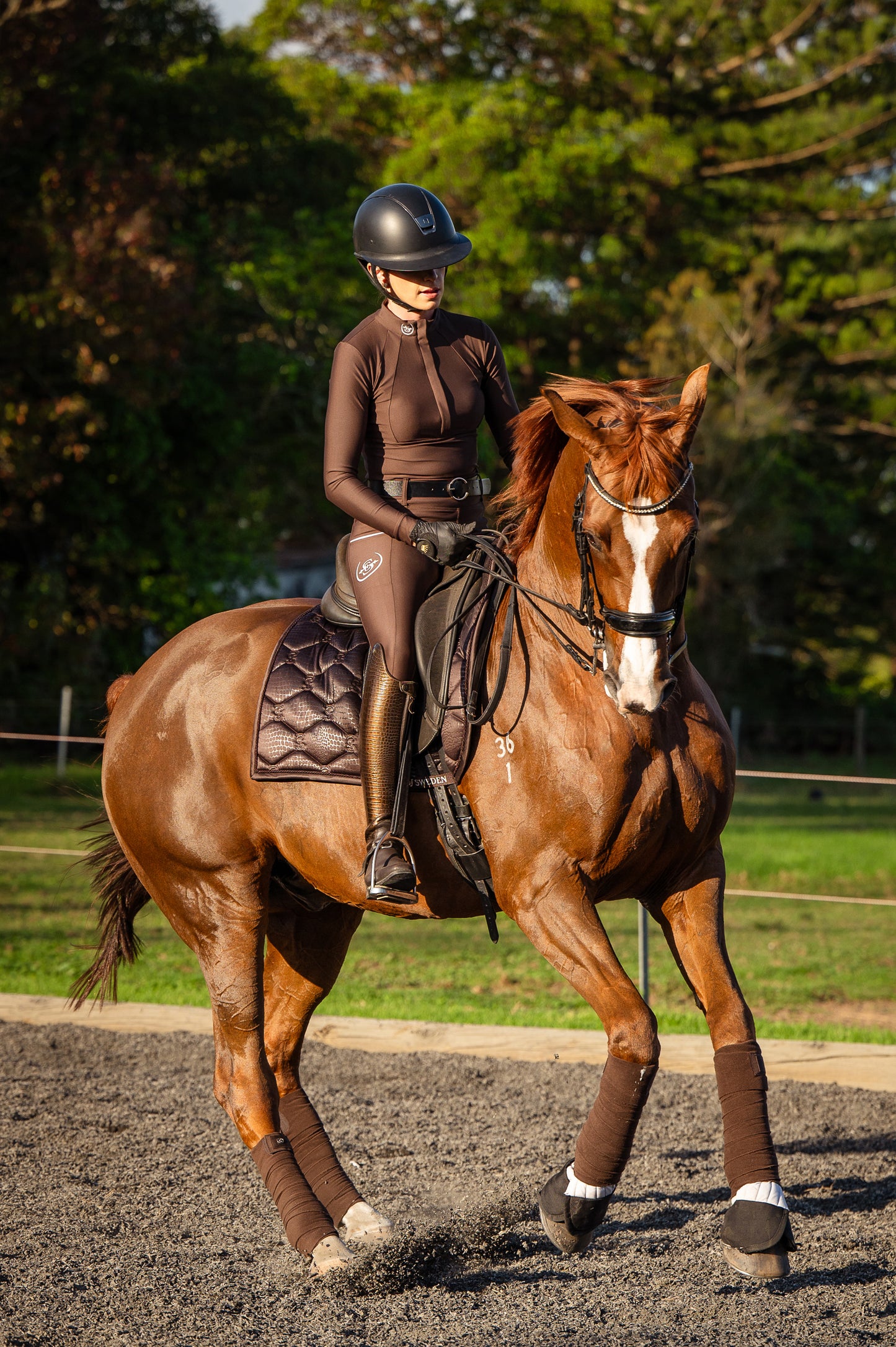 Long Sleeve Paradigm Design Base Layer: Espresso