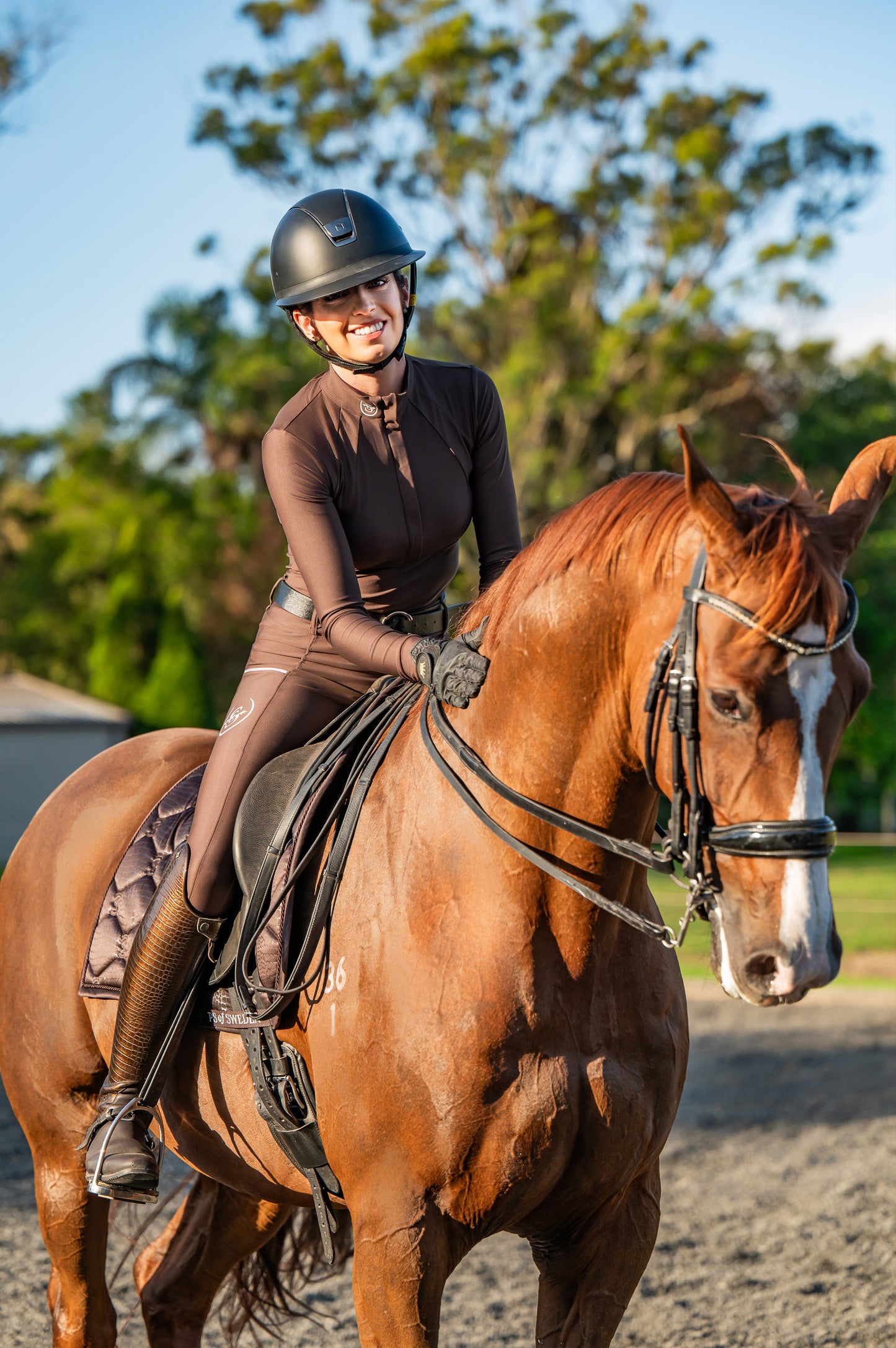 Sculpt Performance Hybrid Breeches: Espresso